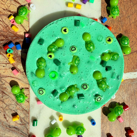 Remeltable turtle picky pad sensory fidget toy